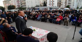  ‘Patlıcanı Yazın Yiyin, Kışın Eve Sokmayın