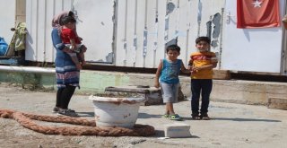 Ayvalıkta 53 Göçmen Denizin Ortasında Alabora Olmaktan Son Anda Kurtarıldı
