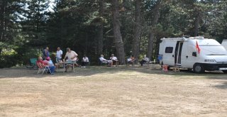 Türkiyenin Karavancıları Gölcükte Buluştu