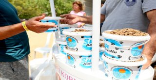 Büyükşehir, Şaymana Festte Kedi Ve Köpekler İçin Stant Açtı