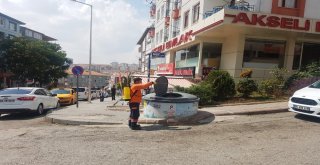 Pursaklar Ve Ankara Büyükşehir Belediyesinden İlaçlama