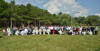 Gedizde Toplu Sünnet