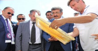 Ardahanda Bal Festivali Coşkusu