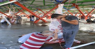 Osmangazide Hijyenik Kurban Kesimi