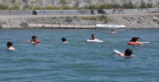 (Özel) Karsta Sıcaktan Bunalanlar Çıldır Gölünde Serinliyor