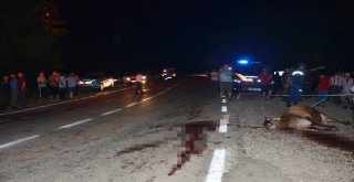 Orduda Kaza: 3 Yaralı