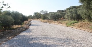 Arapdede Yolu Asfalta Kavuştu