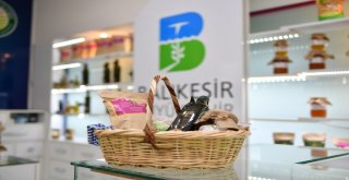 (Özel) Büyükşehirden Organik Hizmet