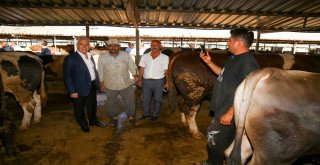 Nilüfer Kurban Bayramına Hazır