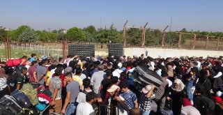 Suriyelilerin Vatan Özlemi İzdihama Dönüştü