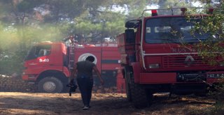 Bursada 2 Orman Yangını Çıktı, Ekipler Anında Müdahale Etti