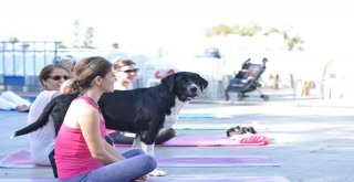 Kaleiçinde Yoga