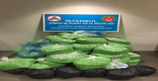 Yasadışı Gizli Kameralar Gümrüğü Geçemedi