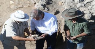 Başkan Çelik Kültepe Kazı Alanını Ziyaret Etti