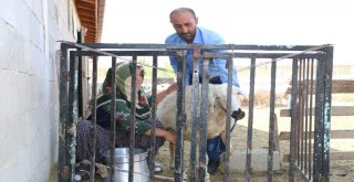 40 Koyun Çocuklarının Geleceği Açısından Umut Oldu