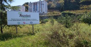 Trabzonda Pistten Çıkan Uçağın Yomra İlçesine Nakli İçin Geri Sayım Başladı