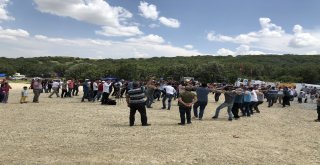 Sekmen Koşapınarlıların Festival Coşkusuna Ortak Oldu