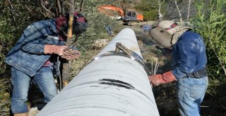 Antalya Büyükşehir Belediyesi, Tarıma 4 Yılda 210 Milyondan Fazla Destek Sağladı