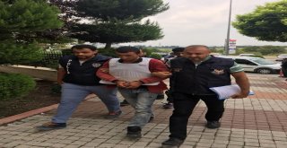 Ypgli Terörist Kardeşler Tarlada Çalışırken Yakalandı