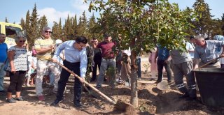 Kepez Belediyesinden Dokuma Botanike Barış Fidanı