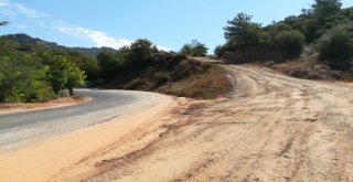 Arzuların Arzusu Gerçek Oldu