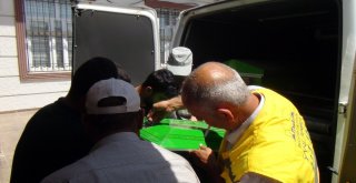 Merdivenden Düşen Küçük Çocuk Hayatını Kaybetti