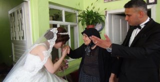 Şaşırtan Benzerlik