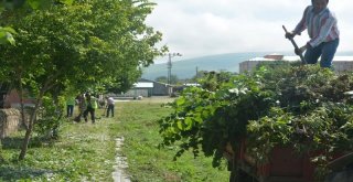 Başkan Köksoy, Personeli İle Temizlik Çalışmalarına Katıldı