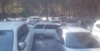 Kuşadası Milli Parkı Bayram Tatilinde Ziyaretçi Rekoru Kırdı