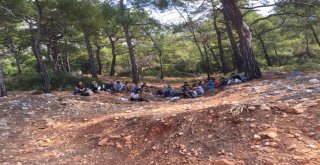 Seydikemerde 29 Kaçak İle 7 Organizatör Yakalandı