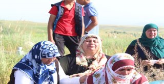Leyla Gözyaşları Arasında Defnedildi