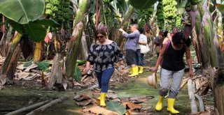 Alanya Muzunun Sırrı Araştırılıyor