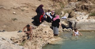 Uyuz Olan Bu Göle Koşuyor