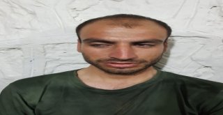 Şırnakta 2 Pkklı Terörist Sağ Olarak Yakalandı