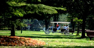 Kurban Bayramında Hayvanat Bahçesine Yoğun İlgi