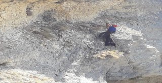 Uçurumda 4 Gün Mahsur Kalan Keçi Kurtarıldı