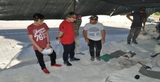Nevü Rektörü Bağlı, Fosil Lokalitesi Kazısını Ziyaret Etti