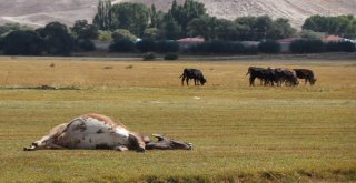 Kayseride İki Mahalle Karantinaya Alındı