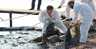 Foçada Denizdeki Kirlilik Havadan Görüntülendi