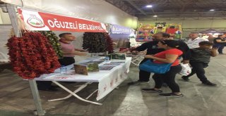 Kocaelinde Oğuzeli Rüzgarı