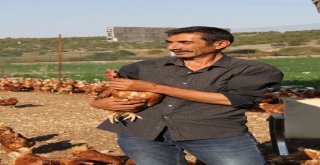 İşçi Olarak Gittiği İsviçreye Bal İhraç Etti