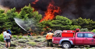 Yunanistandaki Yangın Felaketinde Ölü Sayısı 79A Yükseldi