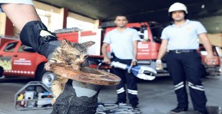 Yavru Kedi Sıkıştığı Metal Boru İçerisinden Kurtarıldı