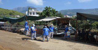 Manavgat Ve Alanyada Bayram Öncesi İlaçlama Seferberliği