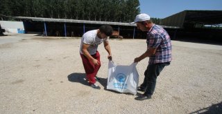 Akyazıda Kurban Kesim Yerleri Hem Denetleniyor Hem De İlaçlanıyor