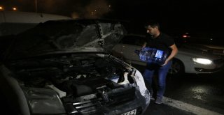 Yanan Aracı Damacana Su İle Söndürdüler
