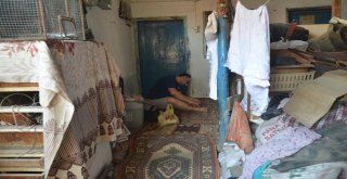 Sağlığına Kavuşması Hurdalara Bağlı