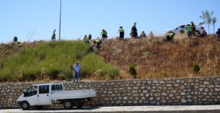 Adıyaman Girişinde Bakım Çalışmaları