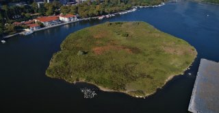 (Özel) Havadan Görüntülenen Haliç, Tabiat Parklarını Aratmadı