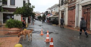 Fırtınadan Çeşme Değil, Ekonomisi Etkilendi